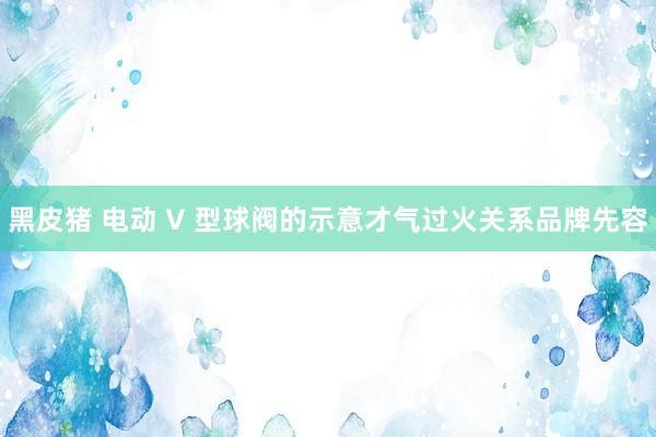 黑皮猪 电动 V 型球阀的示意才气过火关系品牌先容
