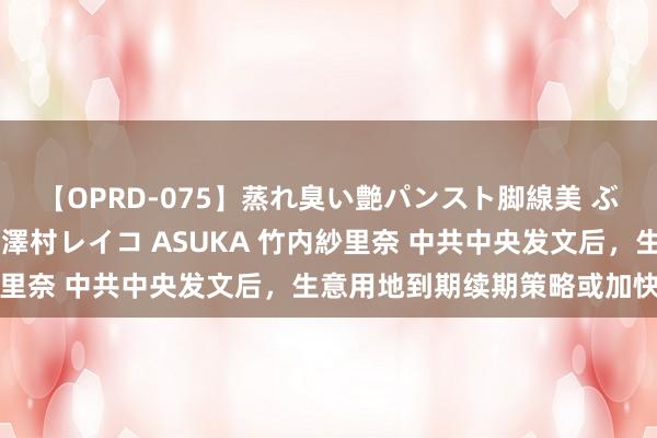 【OPRD-075】蒸れ臭い艶パンスト脚線美 ぶっかけゴックン大乱交 澤村レイコ ASUKA 竹内紗里奈 中共中央发文后，生意用地到期续期策略或加快出炉