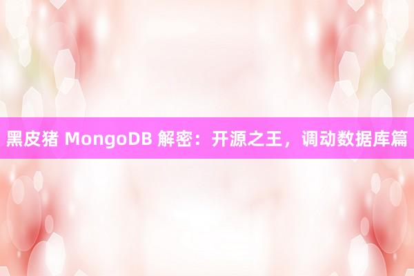 黑皮猪 MongoDB 解密：开源之王，调动数据库篇
