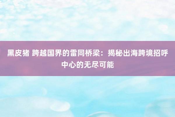 黑皮猪 跨越国界的雷同桥梁：揭秘出海跨境招呼中心的无尽可能