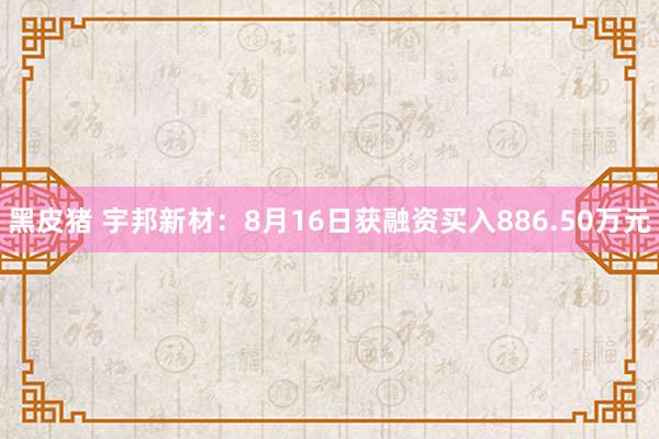 黑皮猪 宇邦新材：8月16日获融资买入886.50万元