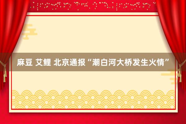 麻豆 艾鲤 北京通报“潮白河大桥发生火情”