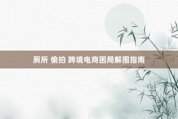 厕所 偷拍 跨境电商困局解围指南