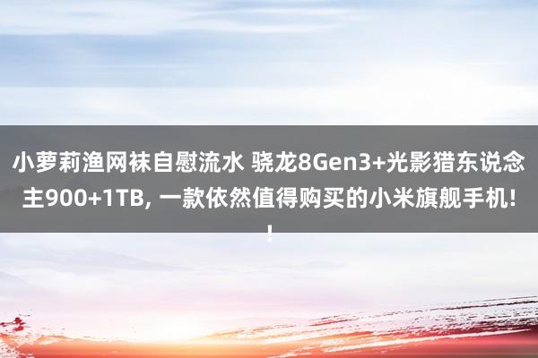 小萝莉渔网袜自慰流水 骁龙8Gen3+光影猎东说念主900+1TB， 一款依然值得购买的小米旗舰手机!