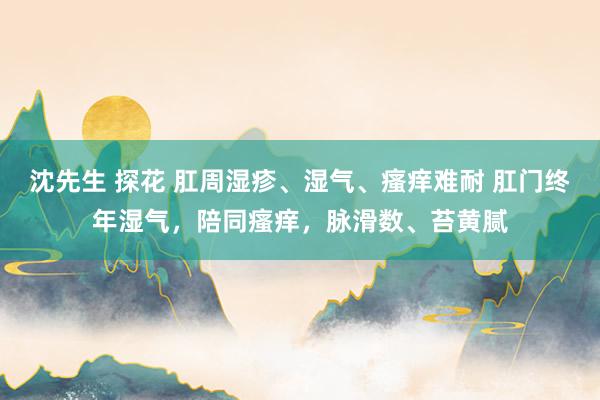 沈先生 探花 肛周湿疹、湿气、瘙痒难耐 肛门终年湿气,陪同瘙痒,脉滑数、苔黄腻