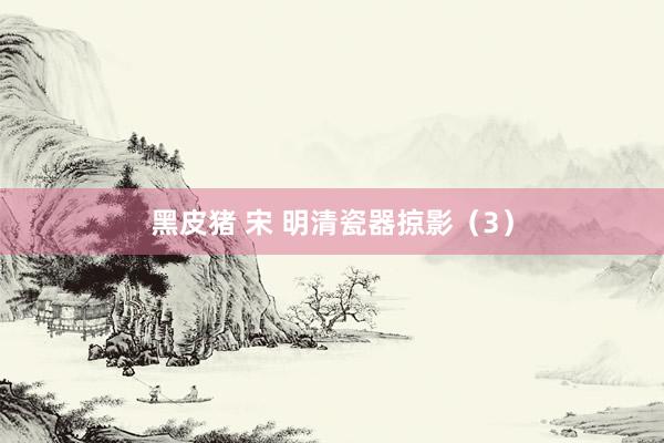 黑皮猪 宋 明清瓷器掠影（3）